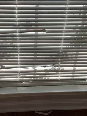 Curtain and Blind Installation Project