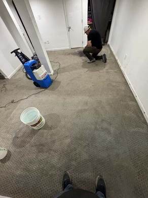 Carpet Cleaning and Deep Extraction