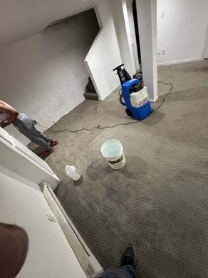 Carpet Cleaning and Deep Extraction