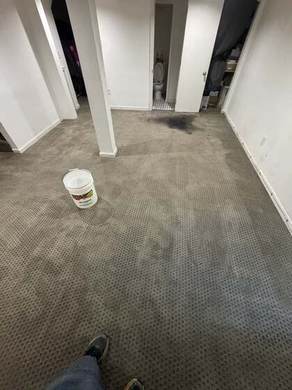 Carpet Cleaning and Deep Extraction