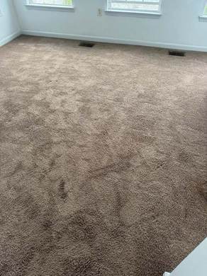 Carpet Cleaning and Deep Extraction