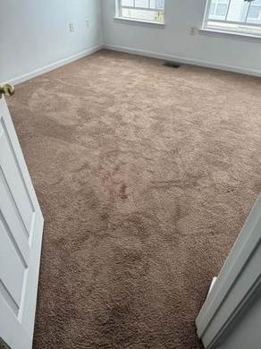 Carpet Cleaning and Deep Extraction
