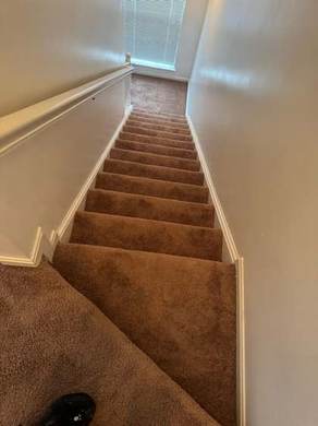 Carpet Cleaning and Deep Extraction