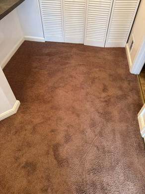 Carpet Cleaning and Deep Extraction
