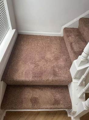 Carpet Cleaning and Deep Extraction