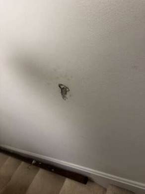 Handrail Repair and Finish Restoration